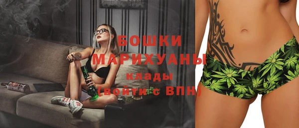 шишки Баксан