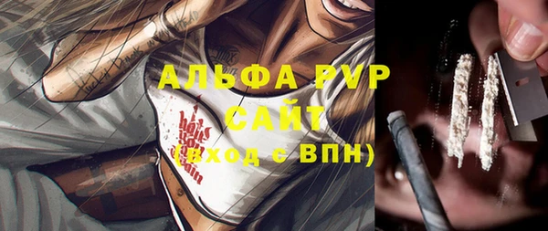 шишки Баксан