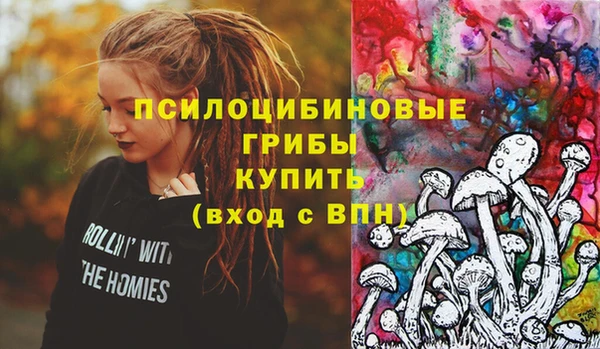 шишки Баксан