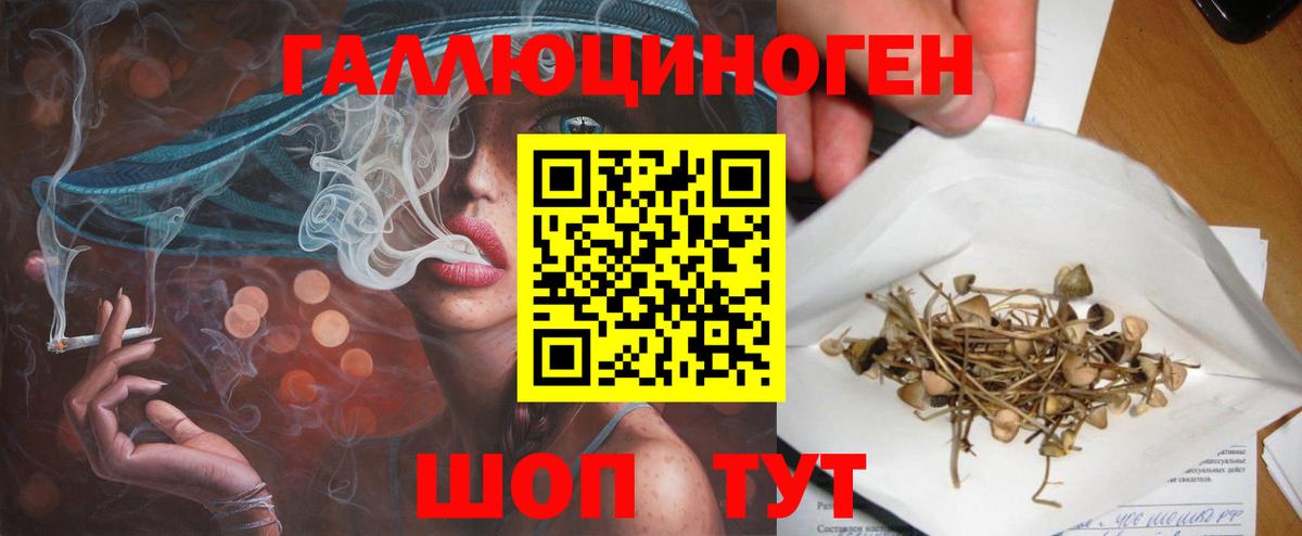 Галлюциногенные грибы мухоморы  Беслан  Псилоцибиновые грибы Magic Shrooms 